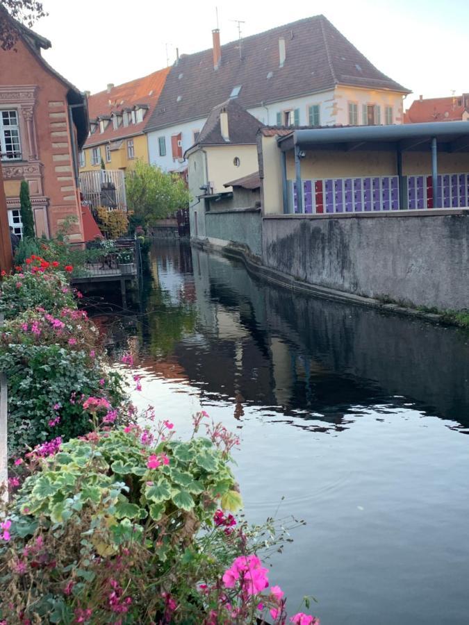 Smart Home Paris Mit Terrasse, Europapark, Rulantica 15Min Boofzheim Exterior foto